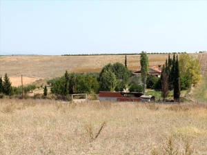 Земельный участок 10000 m² на Кассандре (Халкидики)