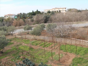 Земельный участок в Салониках
