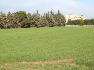 Земельный участок в пригороде Салоник