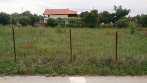 Земельный участок 1310 m² на Кассандре (Халкидики)