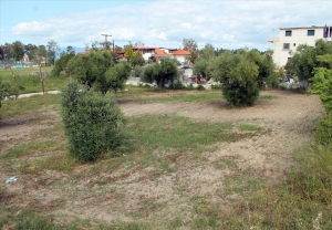 Земельный участок 1850 m² на Кассандре (Халкидики)