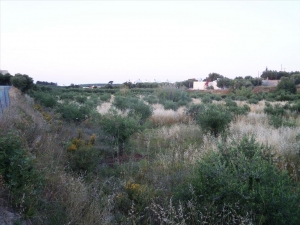 Земельный участок 9491 m² на Крите