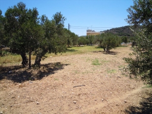 Земельный участок 619 m² на Крите