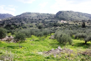 Земельный участок 5000 m² на Крите