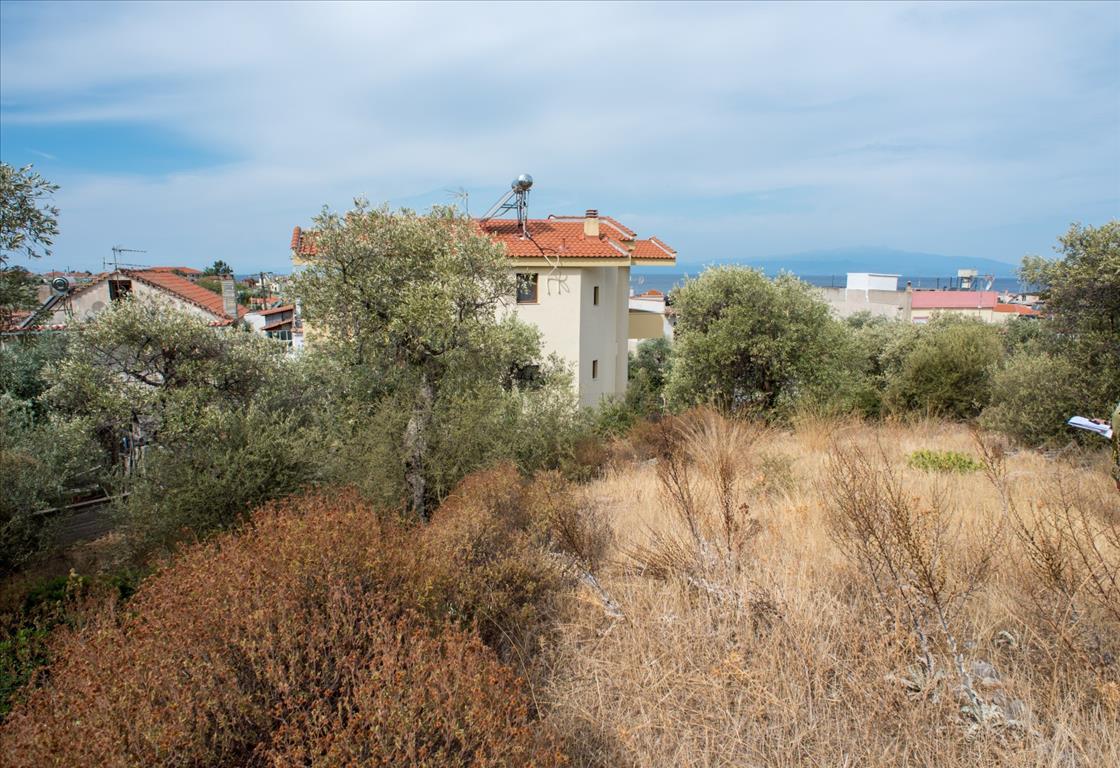 Продажа - Земельный участок 1086 m² на Тасосе