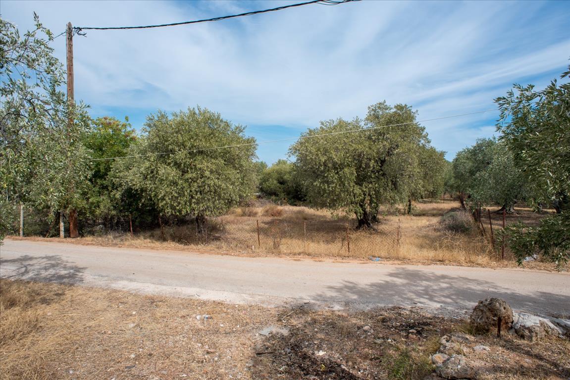 Продажа - Земельный участок 776 m² на Тасосе