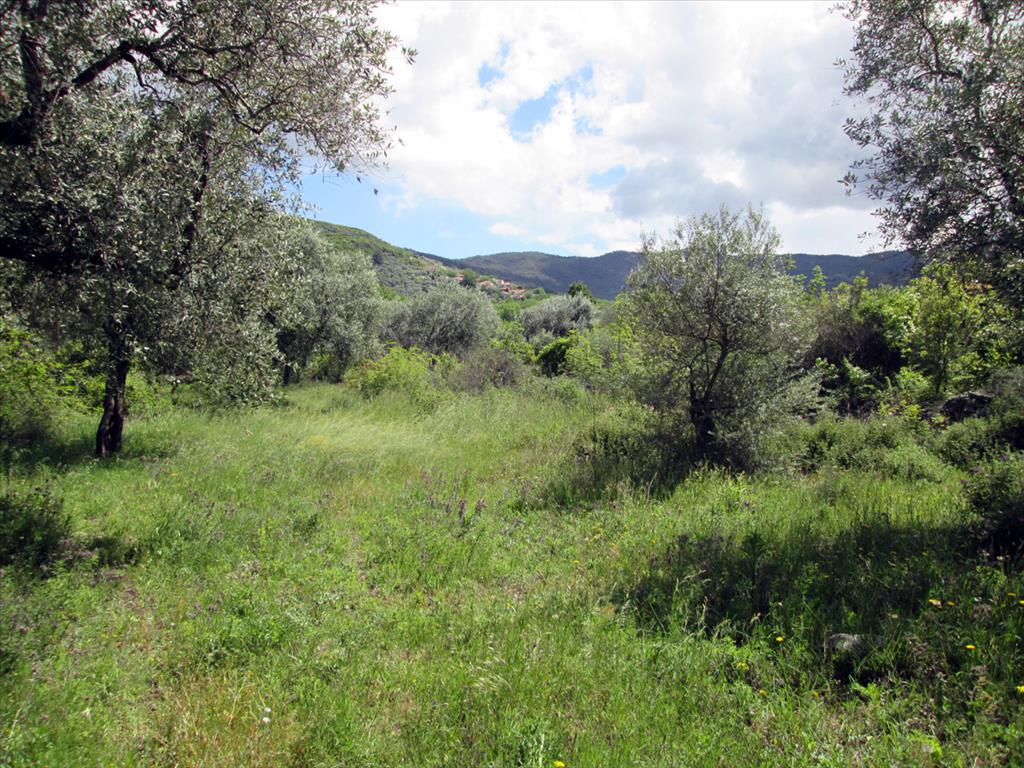 Продажа - Земельный участок 2720 m² на Тасосе