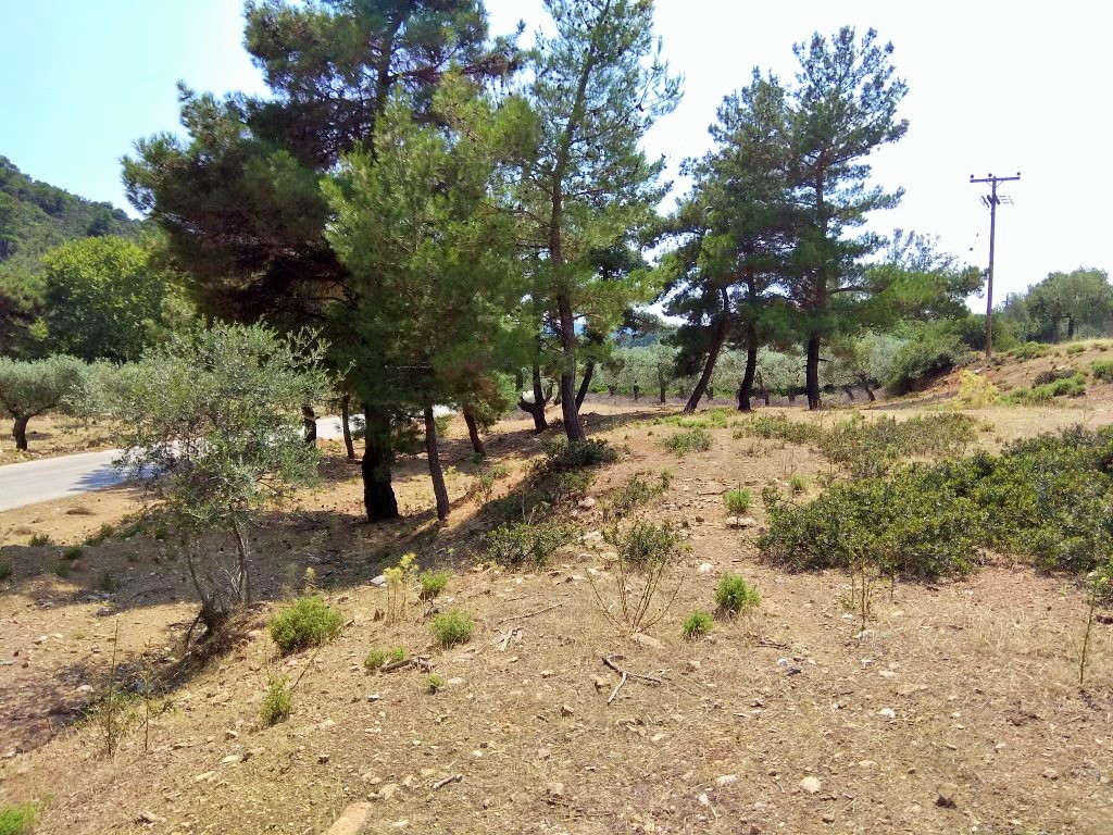 Продажа - Земельный участок 1800 m² на Тасосе