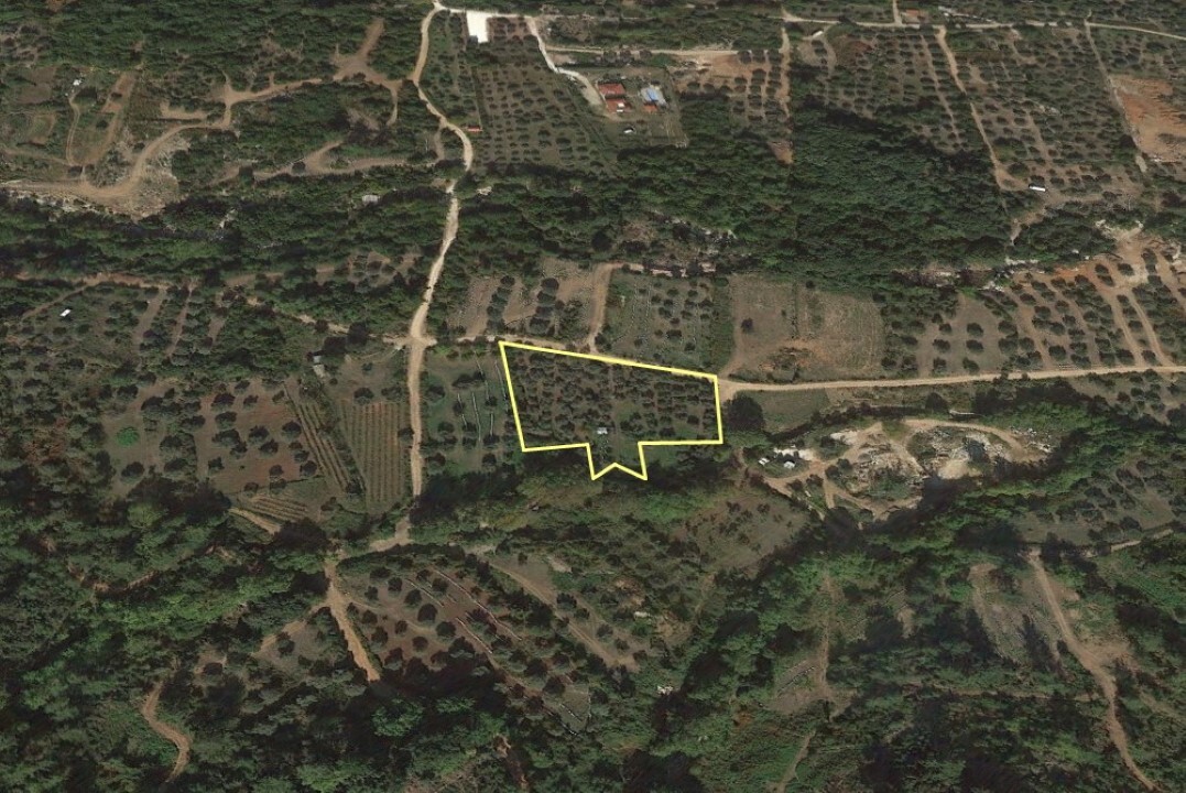 Продажа - Земельный участок 4848 m² на Тасосе