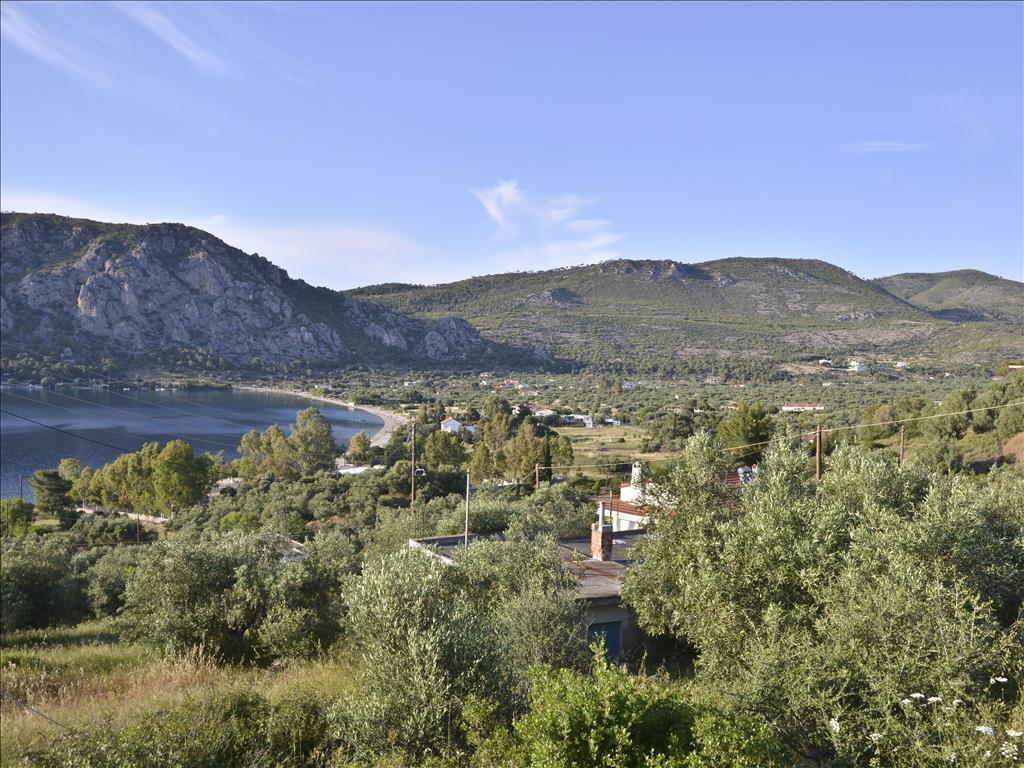 Продажа - Земельный участок 6464 m² в Лутраки