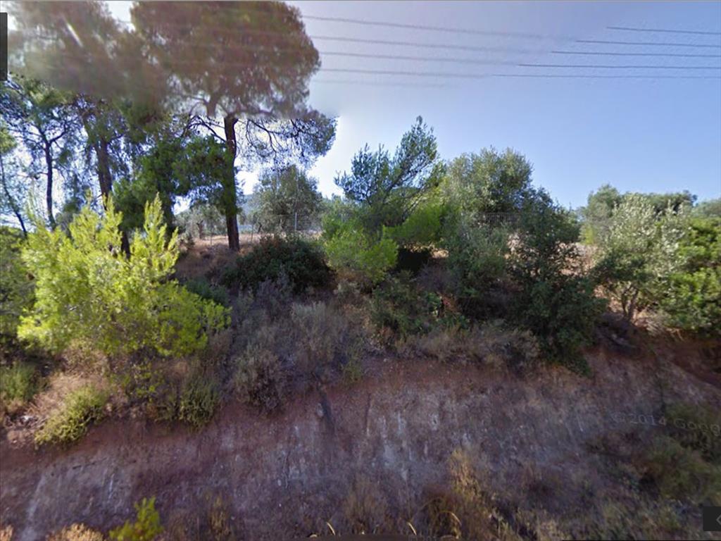 Продажа - Земельный участок 4000 m² в Лутраки