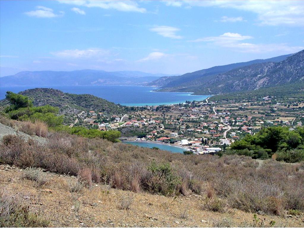 Продажа - Земельный участок 27500 m² в Лутраки