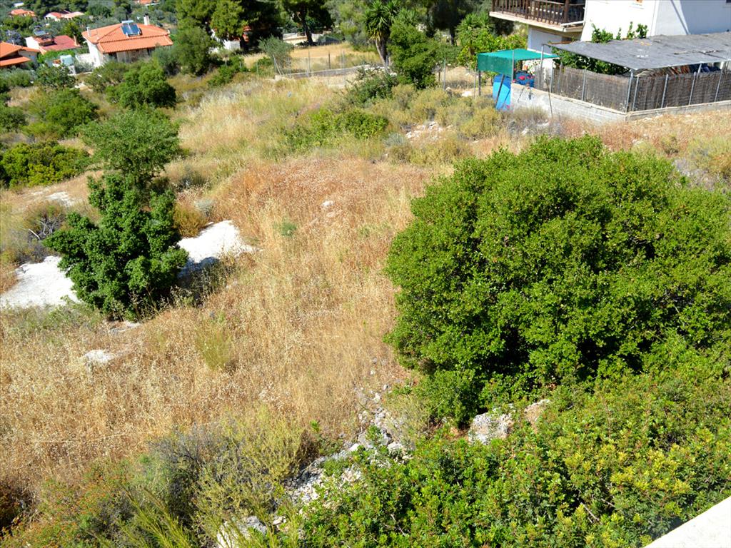 Продажа - Земельный участок 500 m² в Лутраки