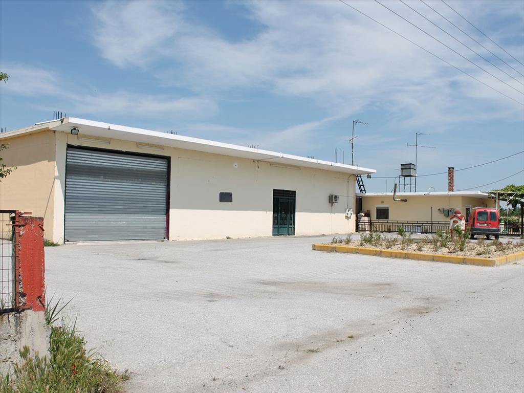 Продажа - Бизнес 630 m² на Олимпийской Ривьере