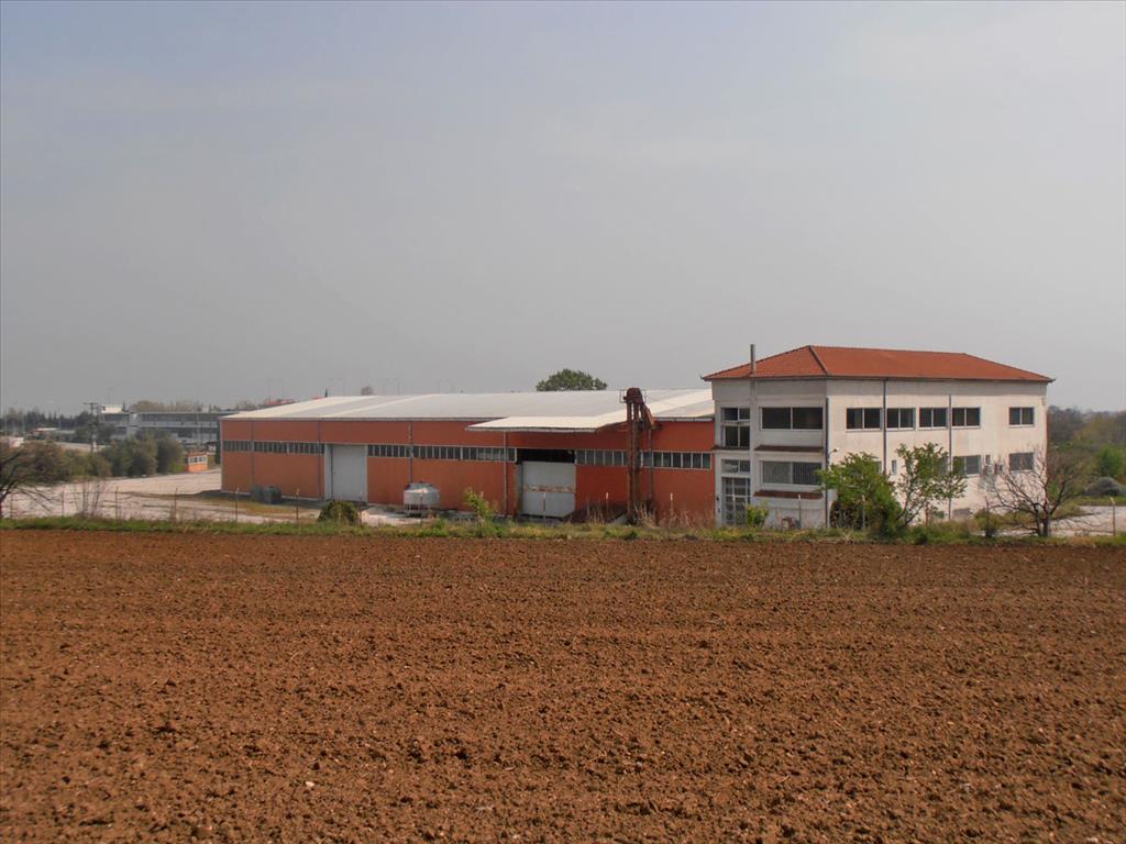 Продажа - Бизнес 1800 m² на Олимпийской Ривьере
