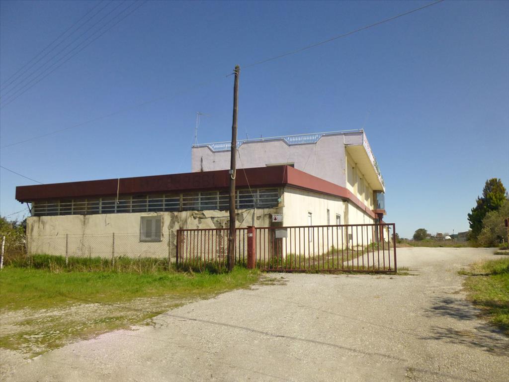 Продажа - Бизнес 1500 m² на Олимпийской Ривьере
