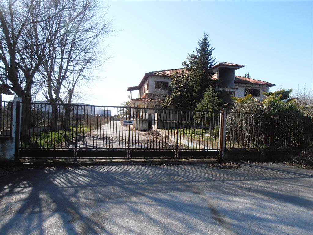 Продажа - Бизнес 2524 m² на Олимпийской Ривьере