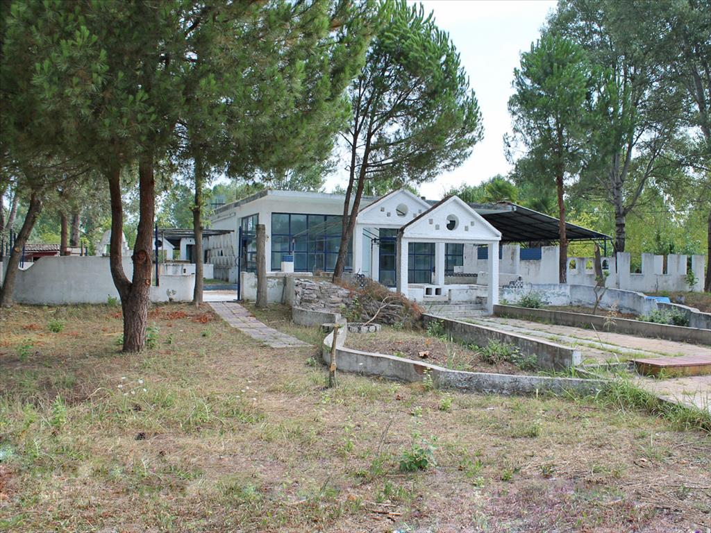 Продажа - Бизнес 150 m² на Олимпийской Ривьере