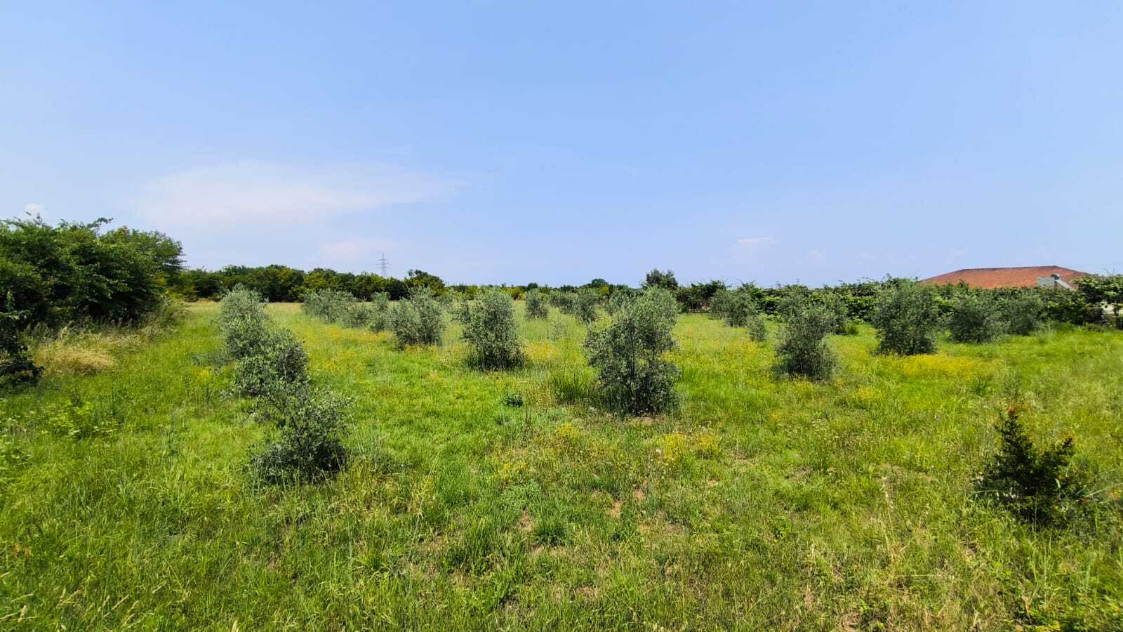 Продажа - Земельный участок 5432 m² на Олимпийской Ривьере