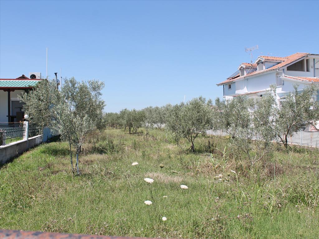 Продажа - Земельный участок 1250 m² на Олимпийской Ривьере