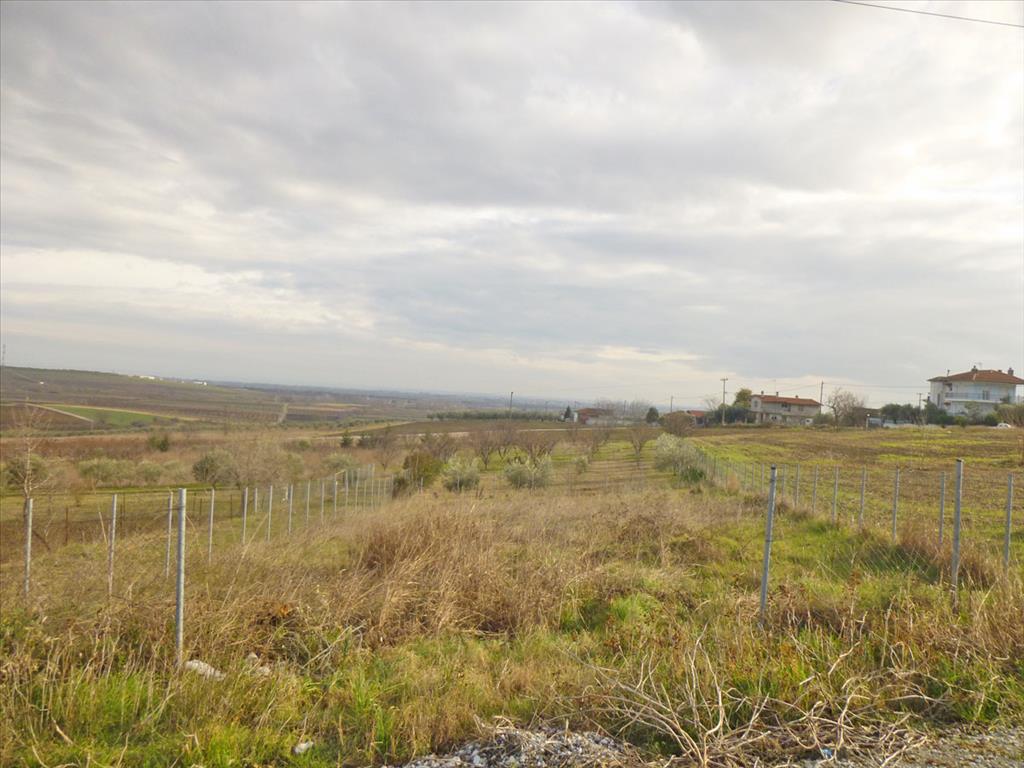 Продажа - Земельный участок 550 m² на Олимпийской Ривьере