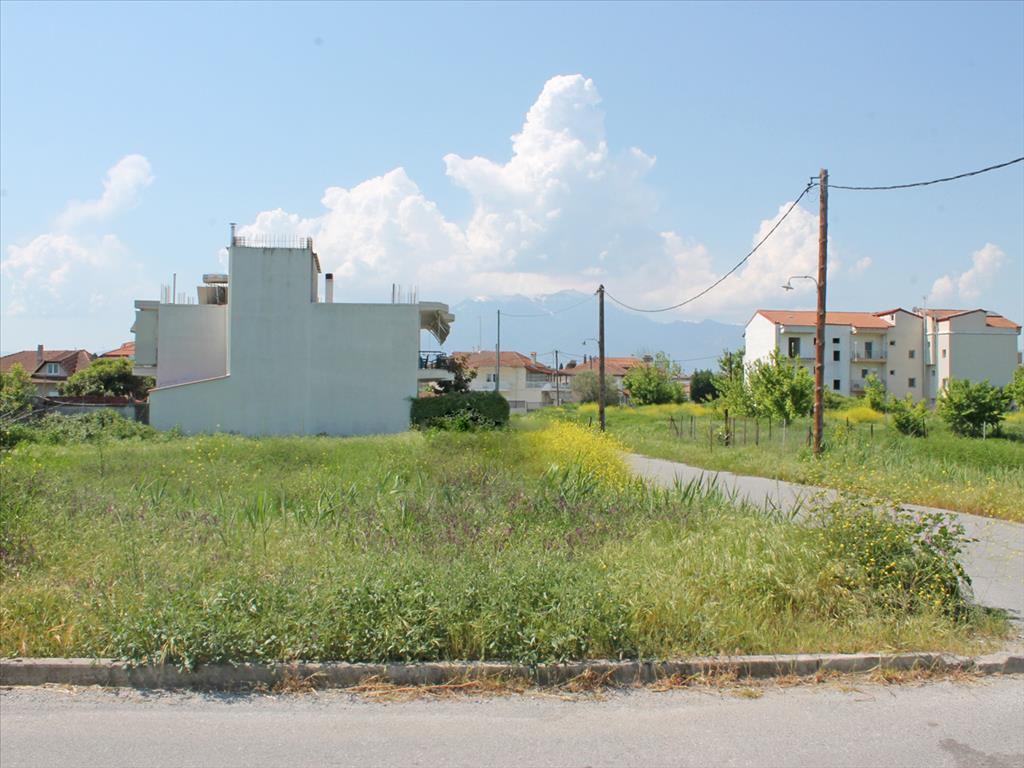 Продажа - Земельный участок 325 m² на Олимпийской Ривьере