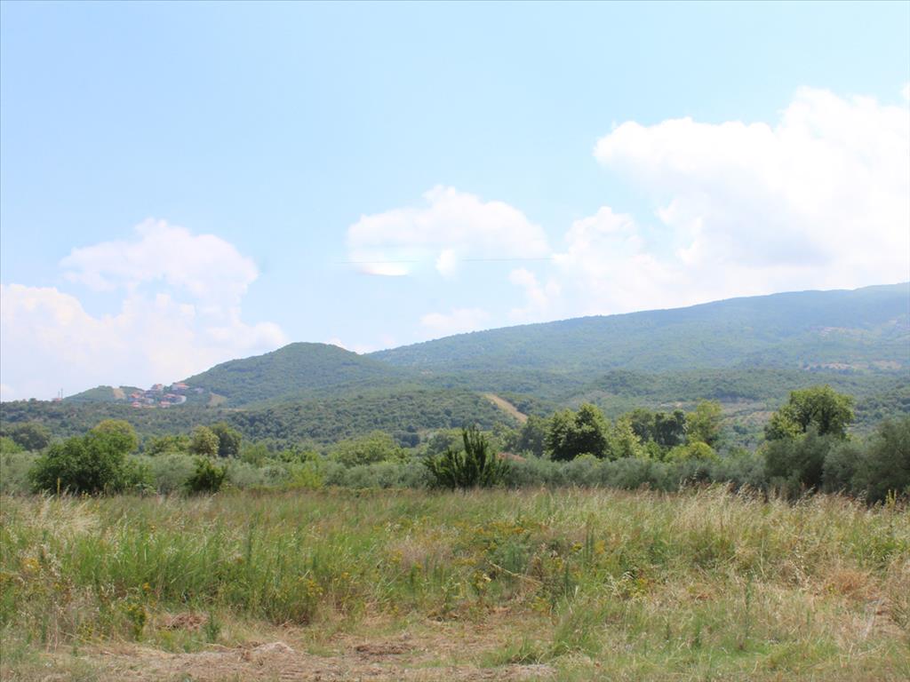 Продажа - Земельный участок 6500 m² на Олимпийской Ривьере
