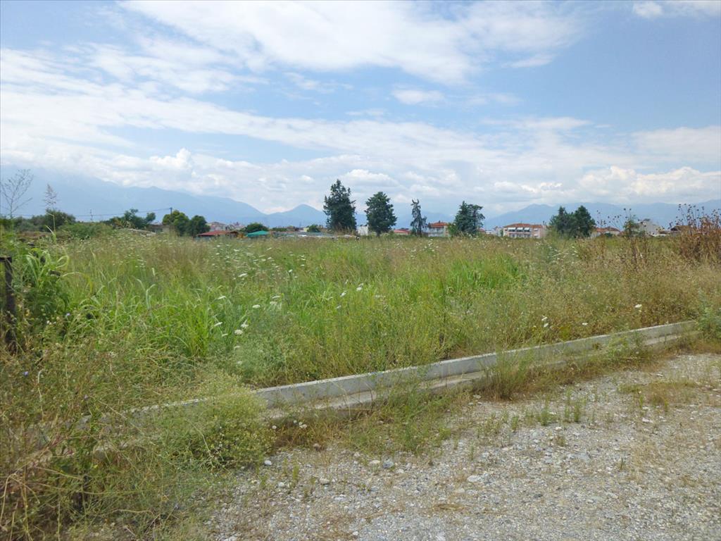 Продажа - Земельный участок 3250 m² на Олимпийской Ривьере
