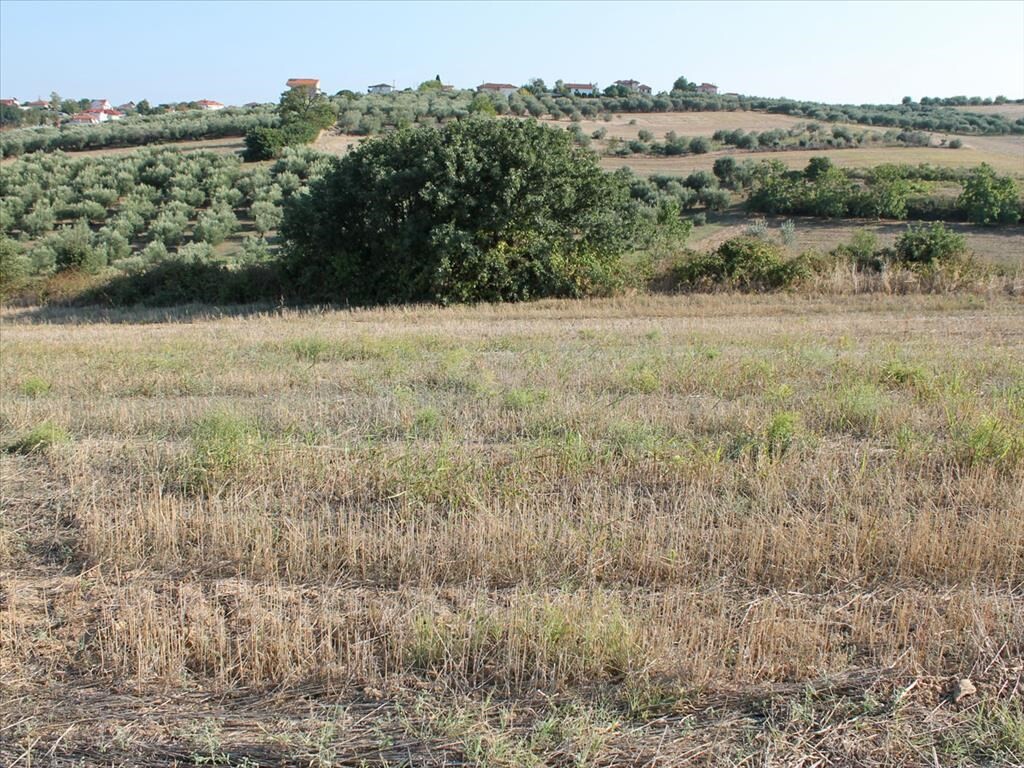 Продажа - Земельный участок 8800 m² на Олимпийской Ривьере