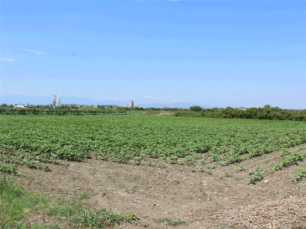 Продажа - Земельный участок 11300 m² на Олимпийской Ривьере