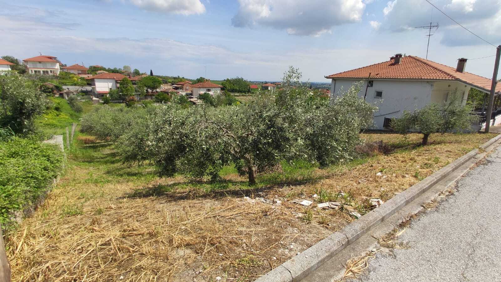 Продажа - Земельный участок 1500 m² на Олимпийской Ривьере