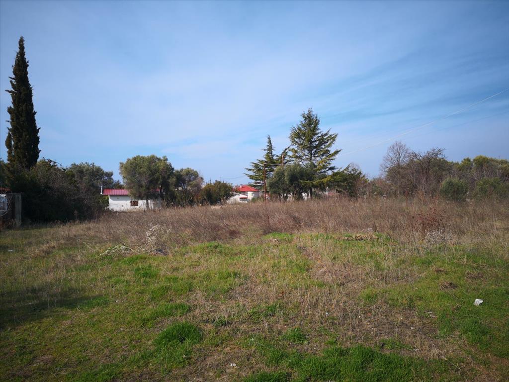 Продажа - Земельный участок 780 m² на Олимпийской Ривьере