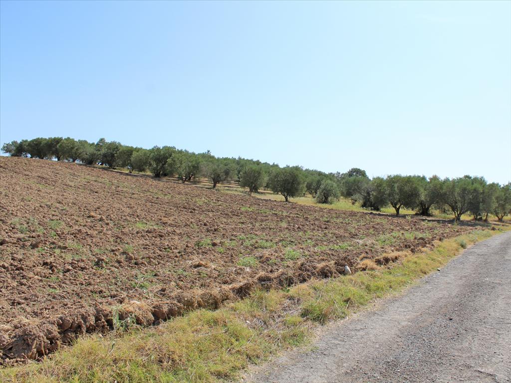 Продажа - Земельный участок 4000 m² на Олимпийской Ривьере