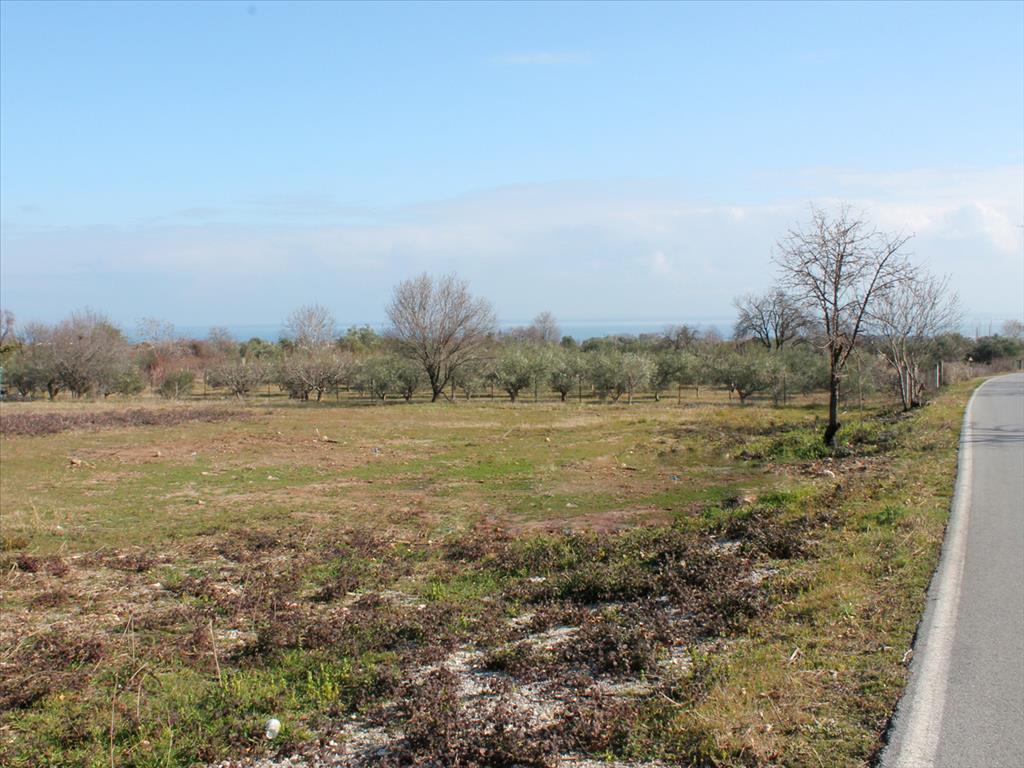 Продажа - Земельный участок 4000 m² на Олимпийской Ривьере