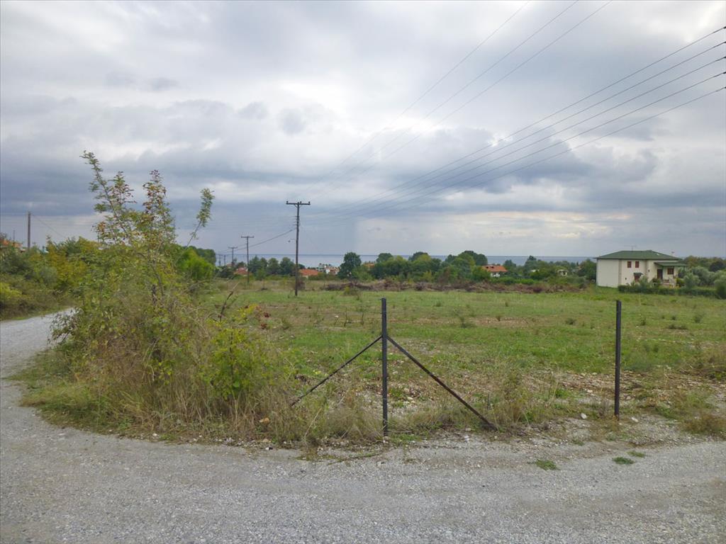 Продажа - Земельный участок 5000 m² на Олимпийской Ривьере
