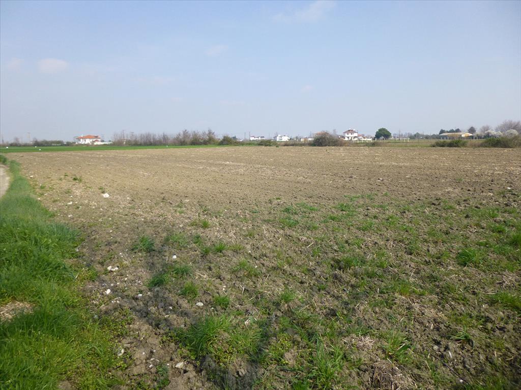 Продажа - Земельный участок 8800 m² на Олимпийской Ривьере