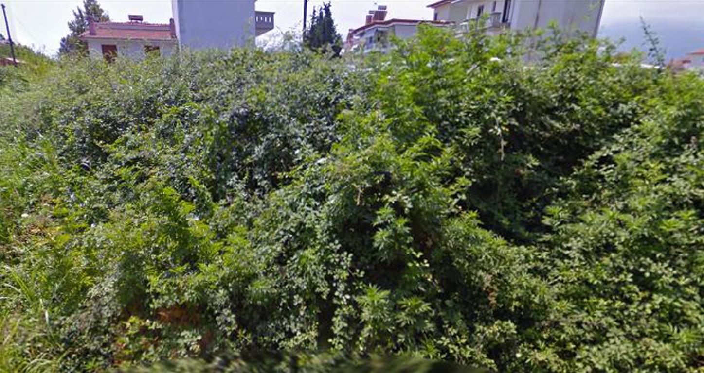 Продажа - Земельный участок 172 m² на Олимпийской Ривьере