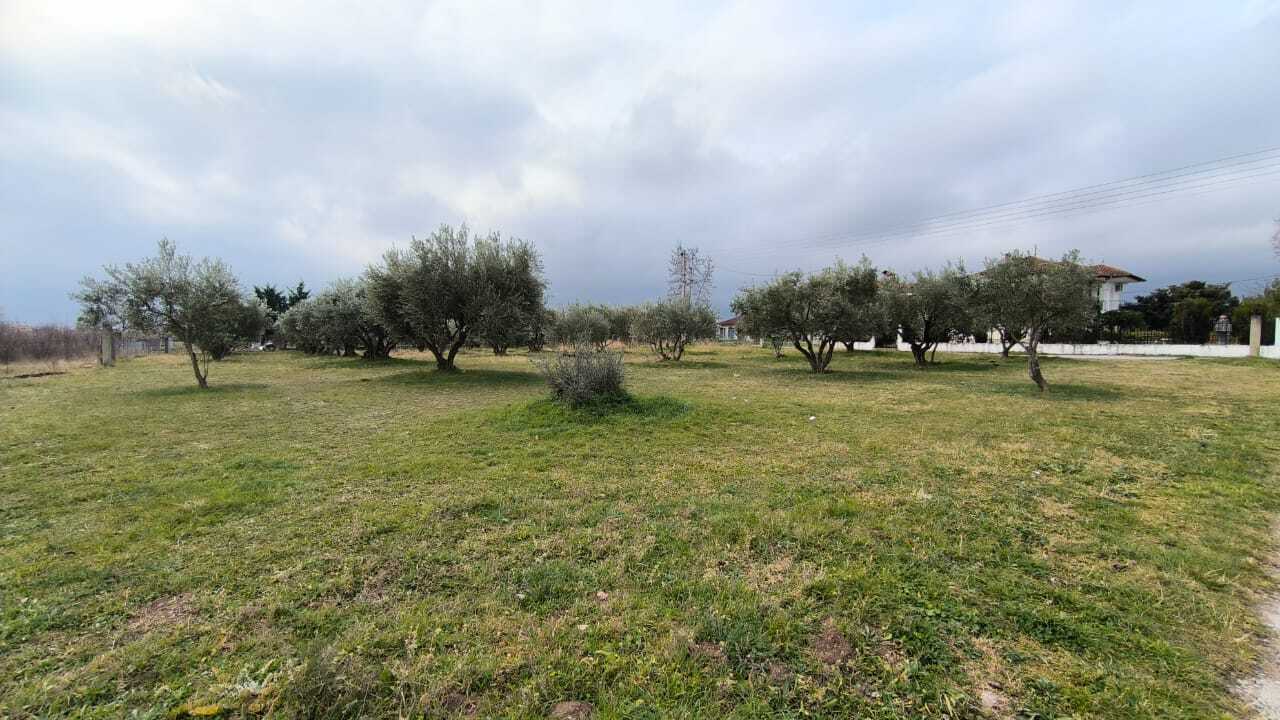 Продажа - Земельный участок 2400 m² на Олимпийской Ривьере