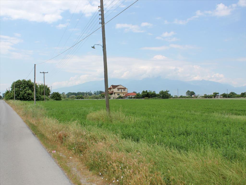 Продажа - Земельный участок 6600 m² на Олимпийской Ривьере