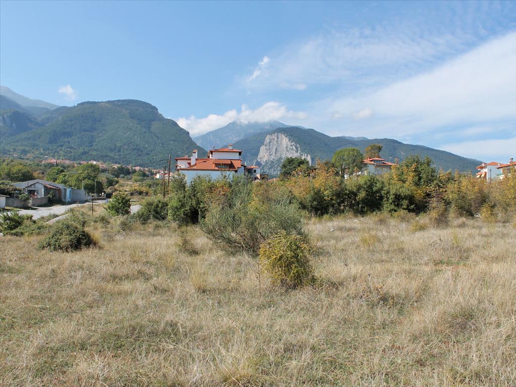 Продажа - Земельный участок 450 m² на Олимпийской Ривьере