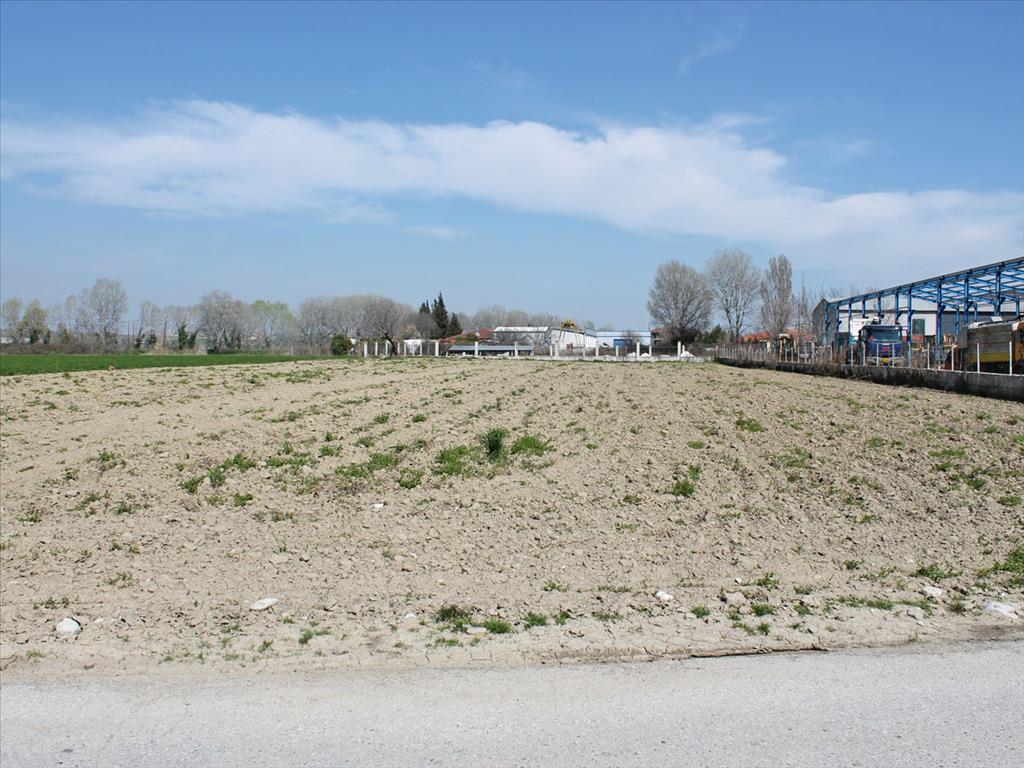 Продажа - Земельный участок 4500 m² на Олимпийской Ривьере