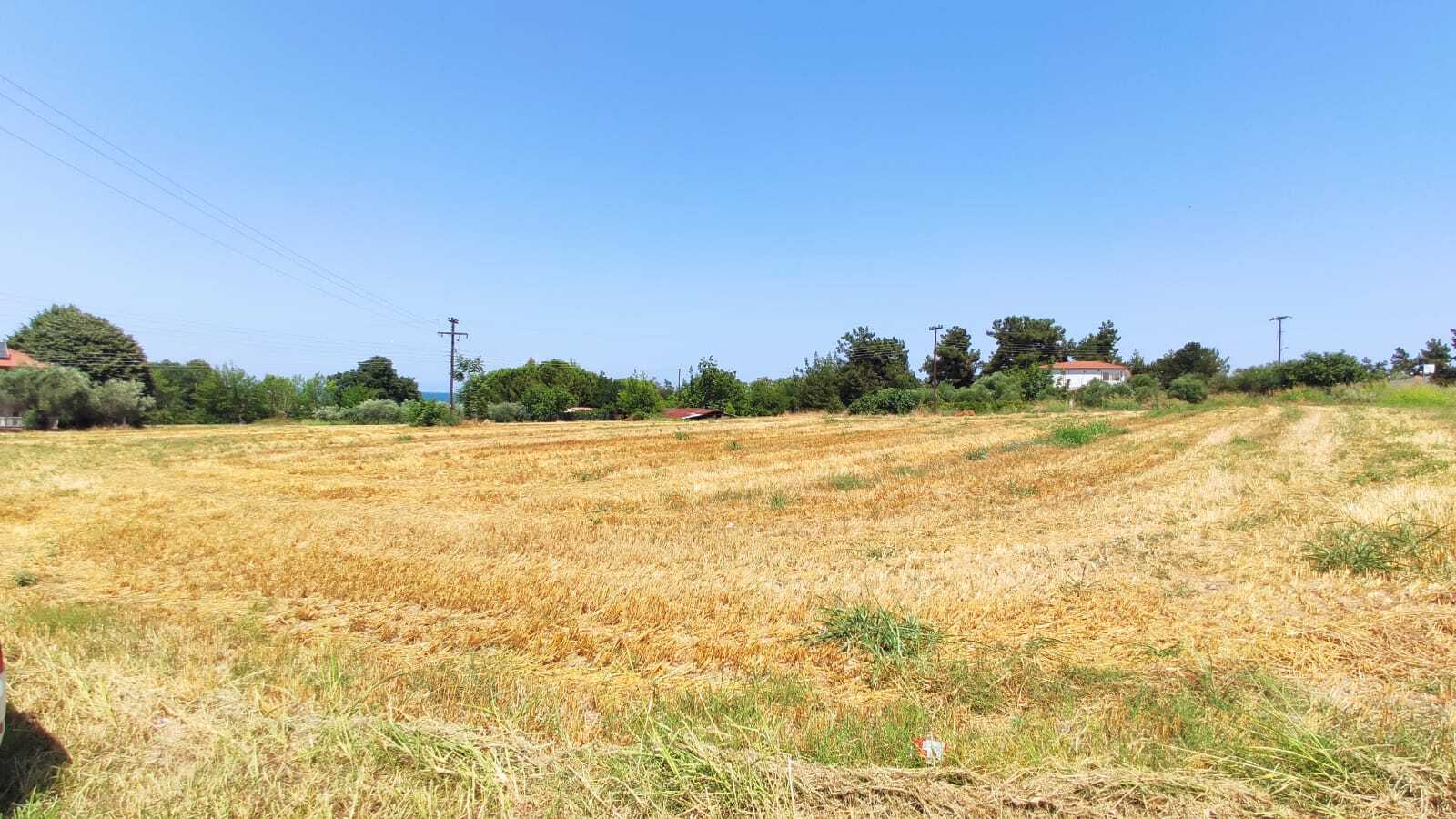 Продажа - Земельный участок 5850 m² на Олимпийской Ривьере