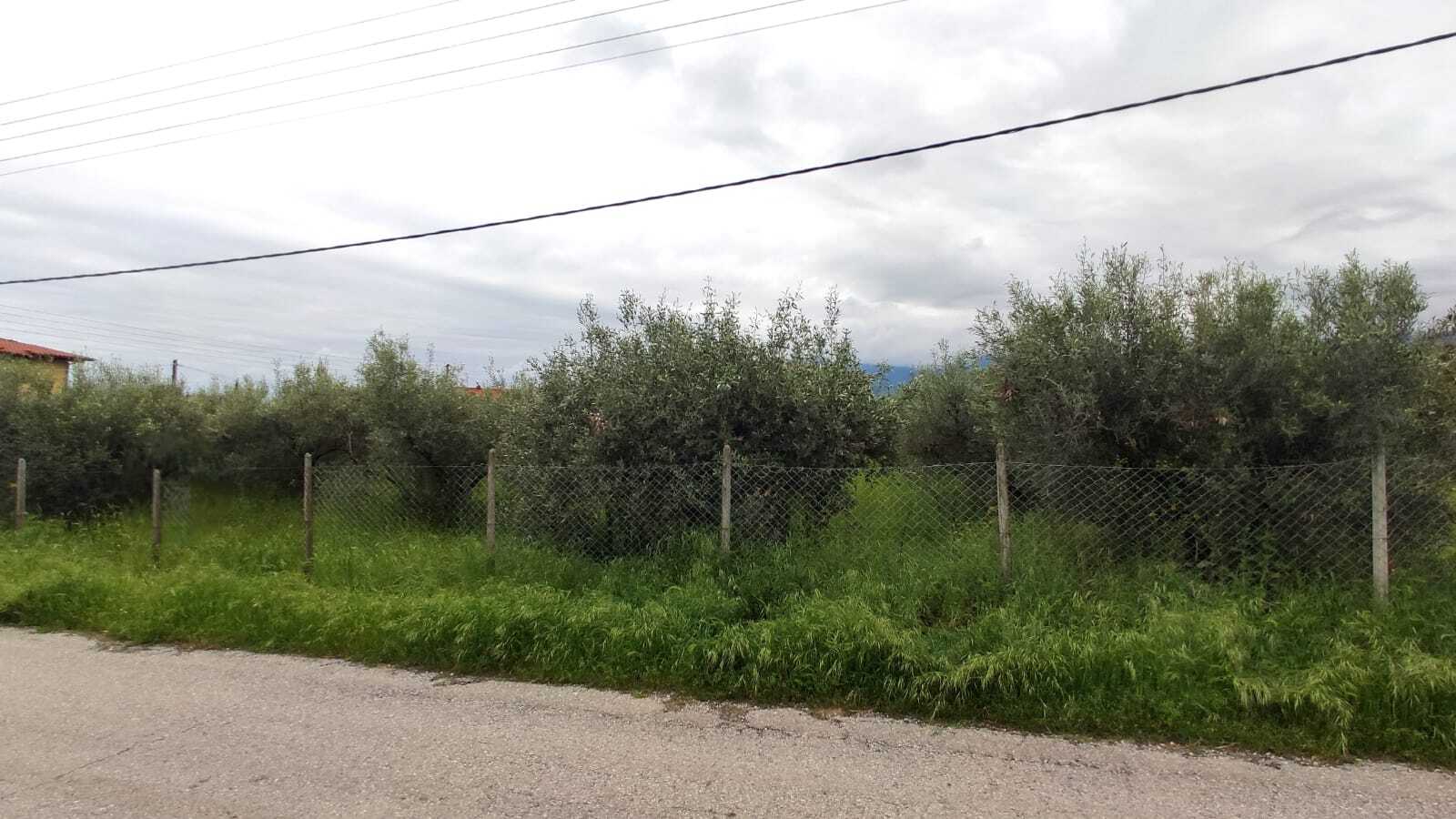Продажа - Земельный участок 2500 m² на Олимпийской Ривьере