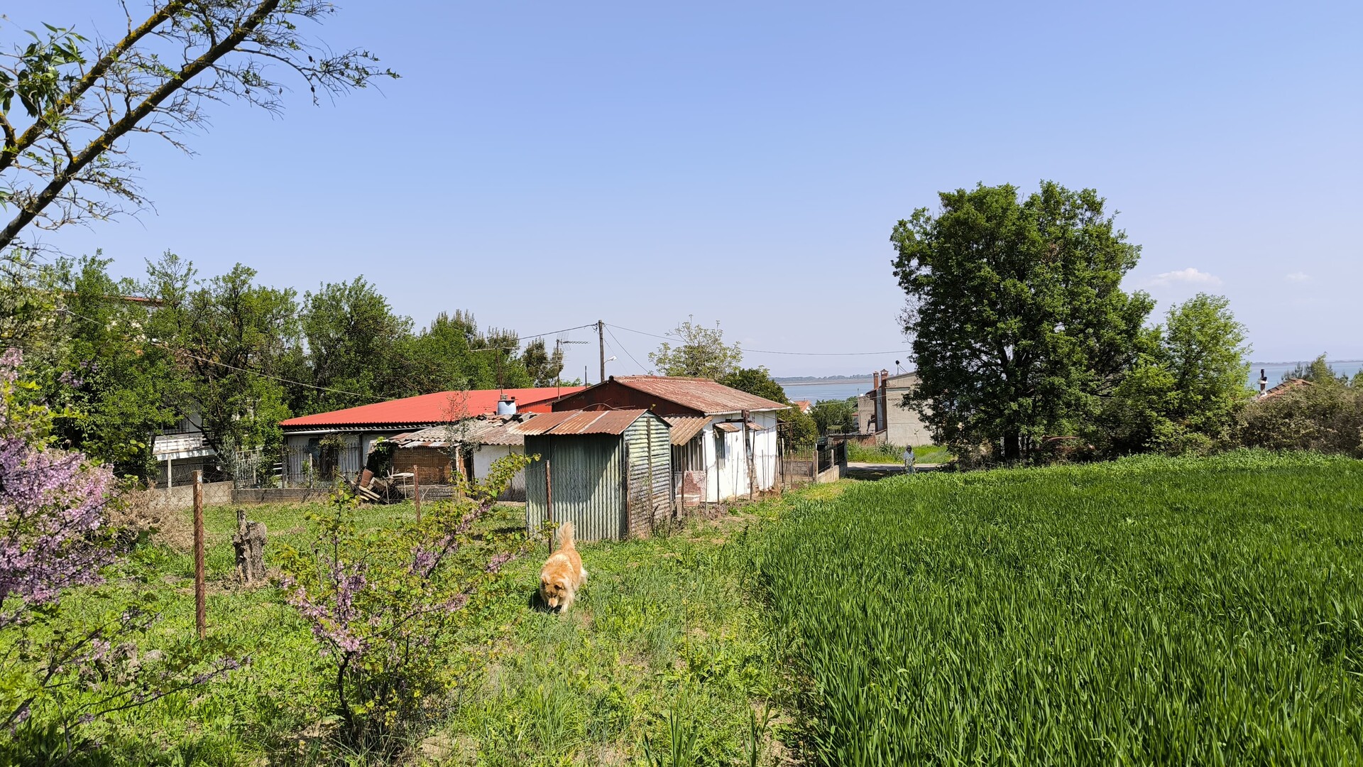 Продажа - Земельный участок 415 m² на Олимпийской Ривьере