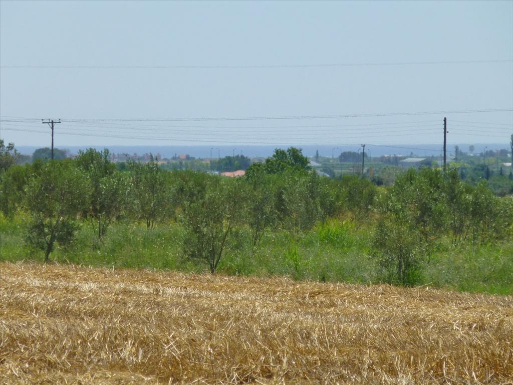 Продажа - Земельный участок 6200 m² на Олимпийской Ривьере