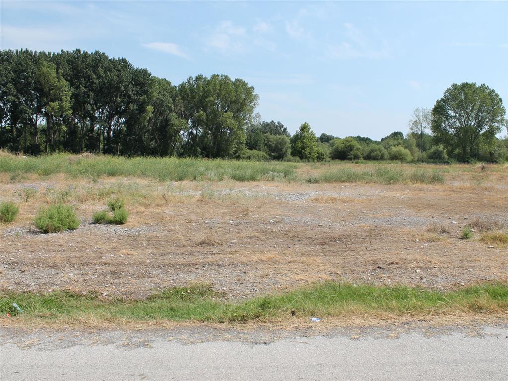 Продажа - Земельный участок 4000 m² на Олимпийской Ривьере