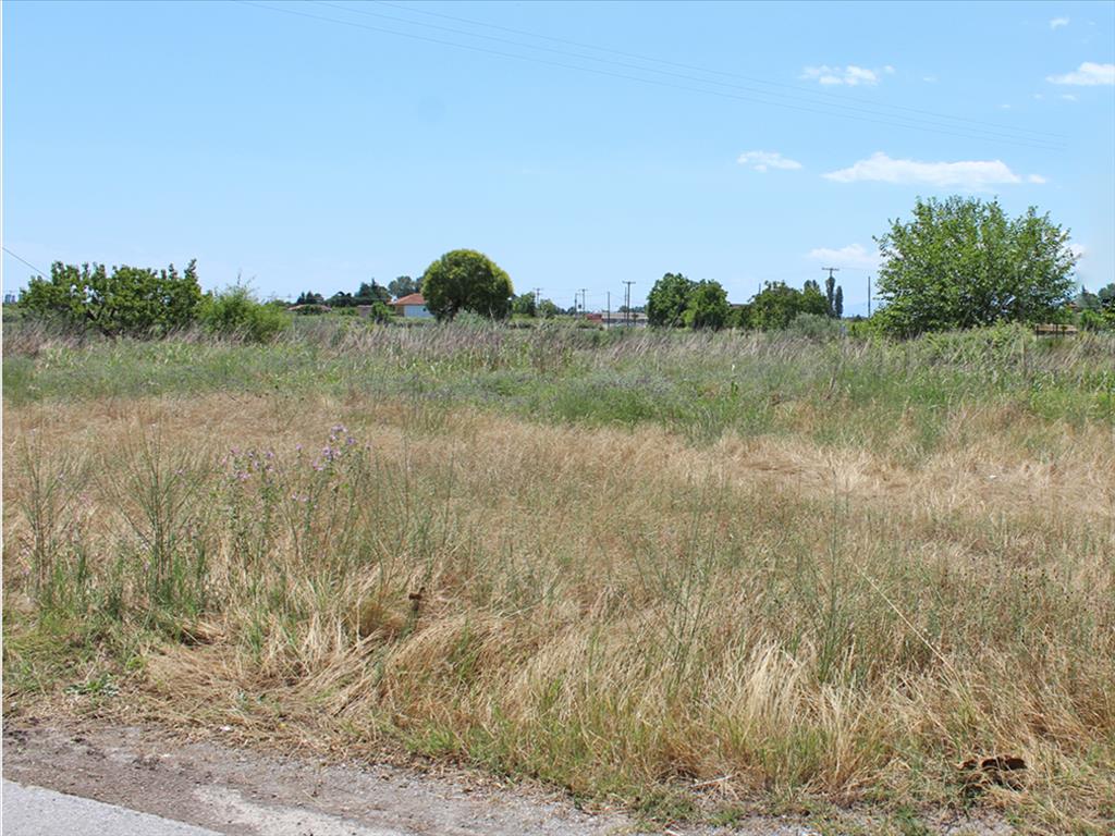 Продажа - Земельный участок 5064 m² на Олимпийской Ривьере