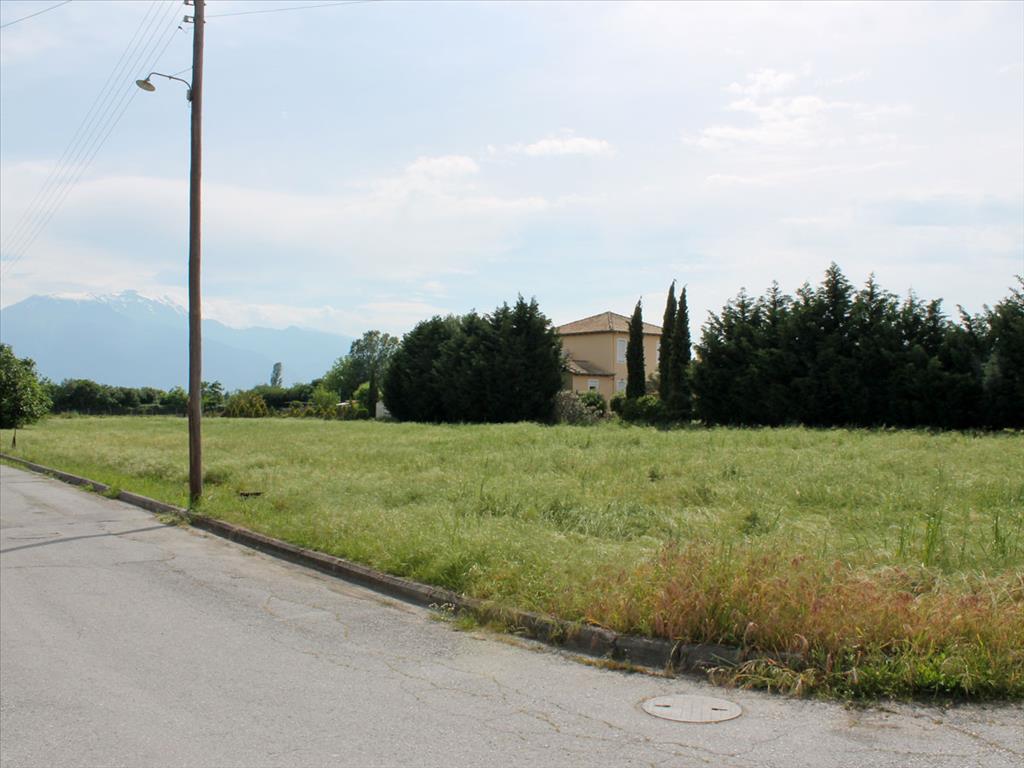 Продажа - Земельный участок 935 m² на Олимпийской Ривьере