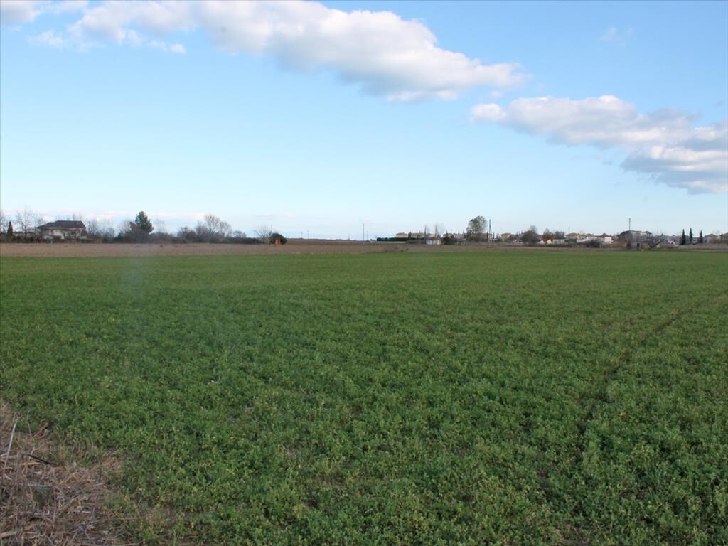 Продажа - Земельный участок 17000 m² на Олимпийской Ривьере