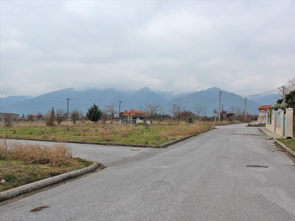Продажа - Земельный участок 5062 m² на Олимпийской Ривьере